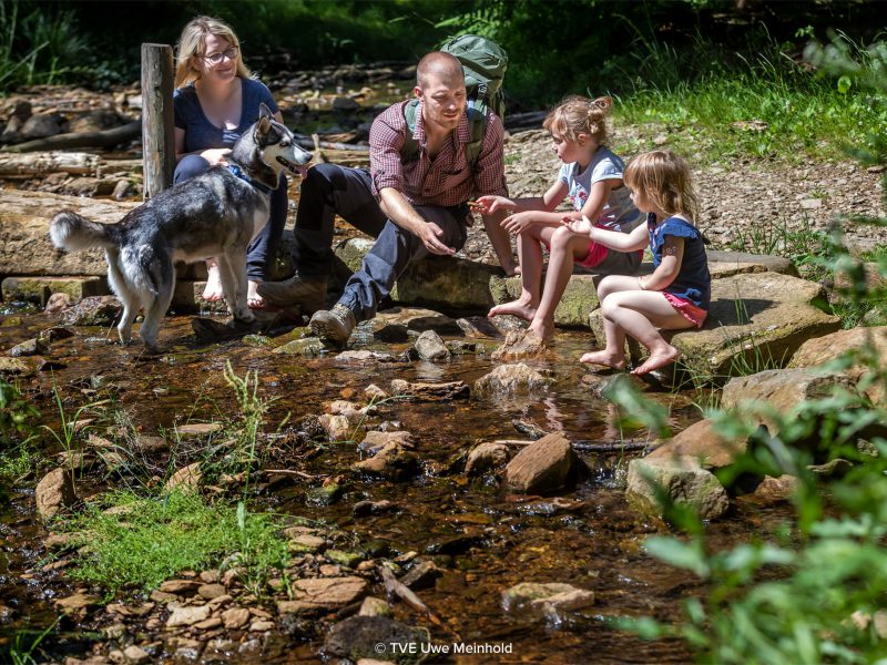 04.07.2020 - Geyer: Tourismusverband Erzgebirge, Wanderung am Rˆhrgraben im Wald zwischen Geyer und Ehrenfriedersdorf.  Felix Ullmann (29), Marie Padniewski (30), Johanna Ullmann (4), Magdalena Mynett (6).  Foto: Uwe Meinhold 
Copyright Uwe Meinhold
