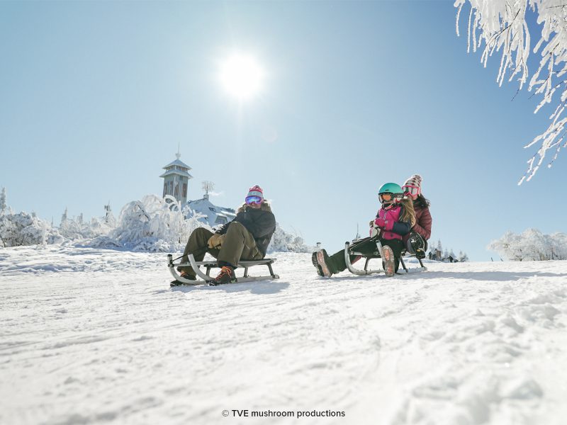 Rodelspaß_Familie_Erzgebirge